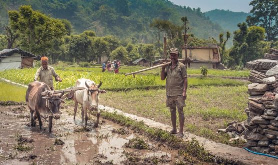 Kisan Pension Scheme