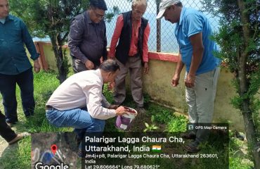 Harela Festival Tree Plantation Programme