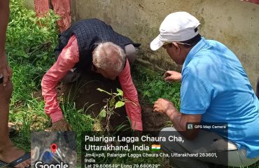 Harela Festival Tree Plantation Programme