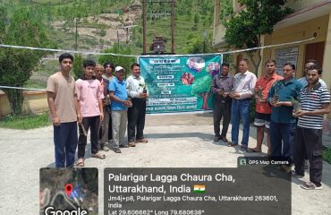 Harela Festival Tree Plantation Programme