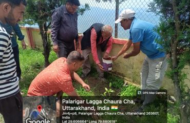 Harela Festival Tree Plantation Programme