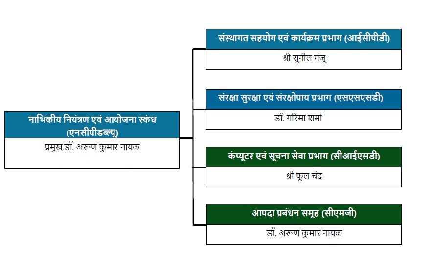 एनसीपीडब्ल्यू संरचना