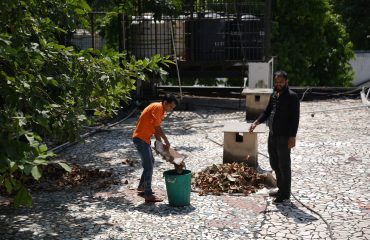 Special Campaign 5.0 (2nd Oct to 31st Oct 2025)