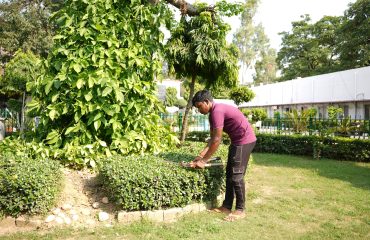 Special Campaign 5.0 (2nd Oct to 31st Oct 2025)