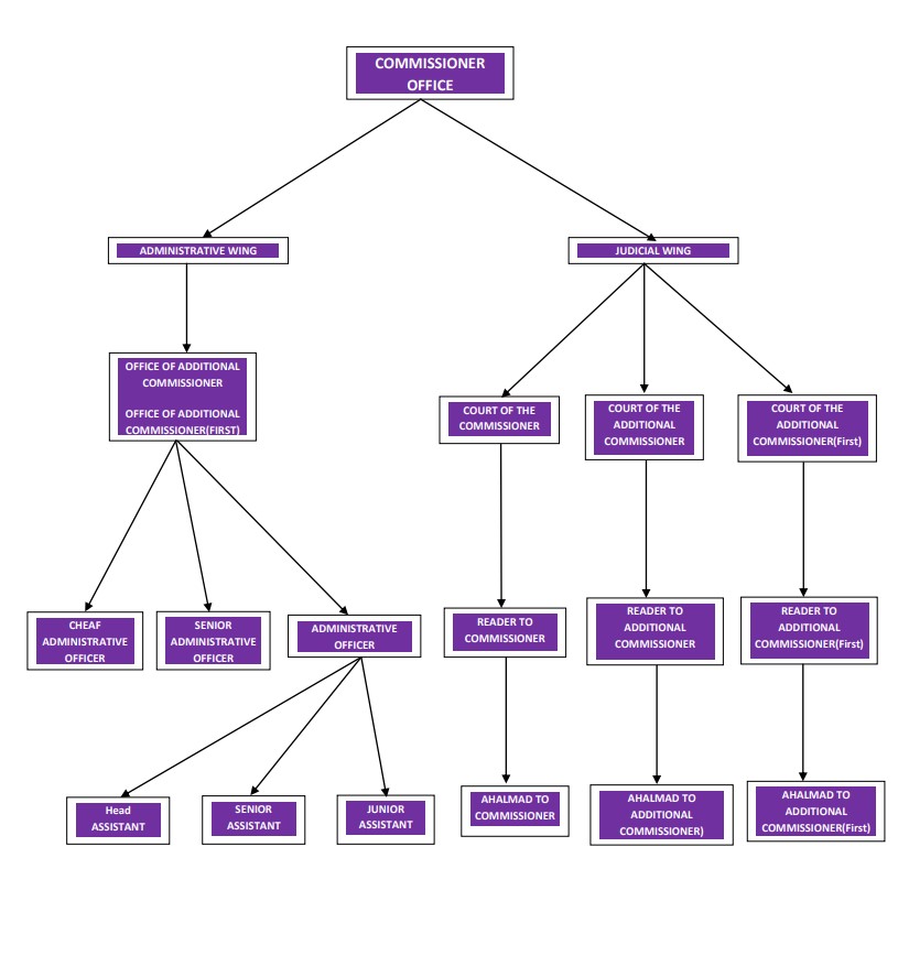 Administrative Setup