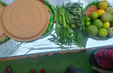 स्वस्थ नारी सशक्ती परिवार (9)