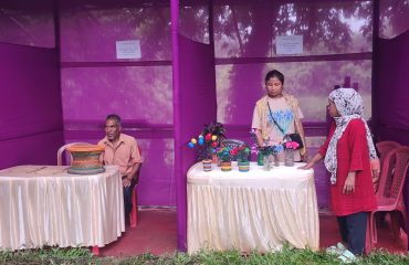 showcasing of products