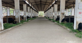 Maharashtra Livestock Development Board, Nagpur