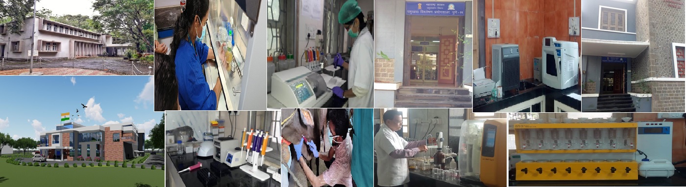 Disease Investigation Section and Feed Analysis Laboratory, Pune