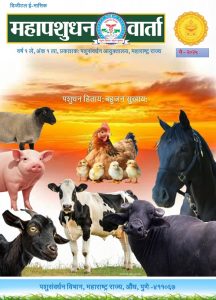 अंक १