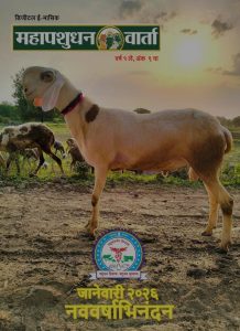 WhatsApp Image 2026-01-13 at 2.00.37 PM