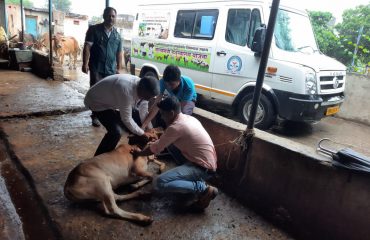 Chief Minister Animal Health Scheme and Mobile Clinics