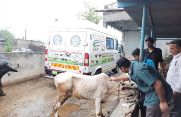 मुख्यमंत्री पशु आरोग्य योजना आणि फिरते दवाखाने