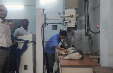 Veterinary Services