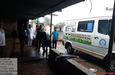 Chief Minister Animal Health Scheme and Mobile Clinics