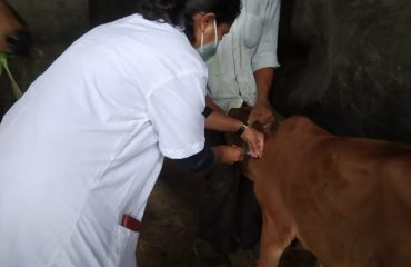 Veterinary Services