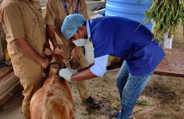 Veterinary Services