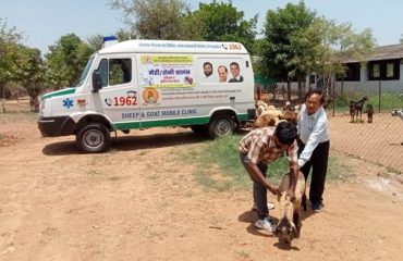 मुख्यमंत्री पशु आरोग्य योजना आणि फिरते दवाखाने