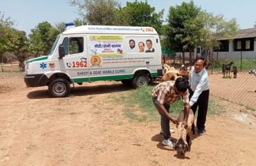 Chief Minister Animal Health Scheme and Mobile Clinics
