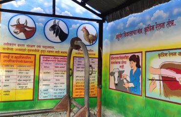 पशुवैद्यकीय संस्था