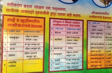 पशुवैद्यकीय संस्था