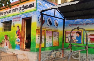 पशु रुग्णालय श्रेणी पट्टीवडगाव