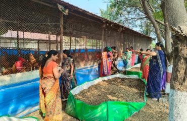 Visit of animal to Krishi Vigyan Kendra Baramati