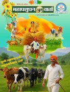 WhatsApp Image 2025-08-12 at 3.08.11 PM