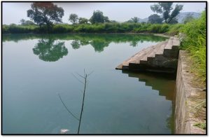 Repairs of Mohili Village Tank, Tal- Bhiwandi