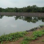 कोसले पाझर तलाव ता.कल्याण