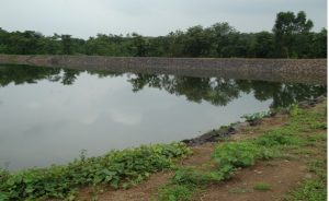 कोसले पाझर तलाव ता.कल्याण