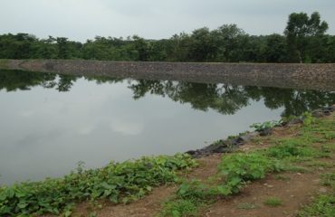 कोसले पाझर तलाव ता.कल्याण