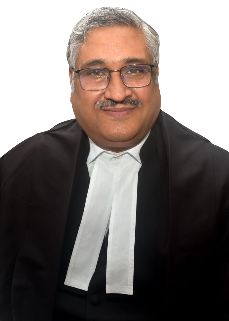 HON'BLE SHRI JUSTICE VIVEK AGARWAL