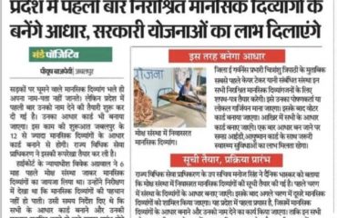 News Articles