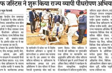 News Articles