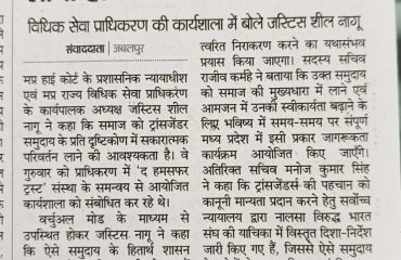 News Articles