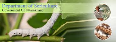 Sericulture Department