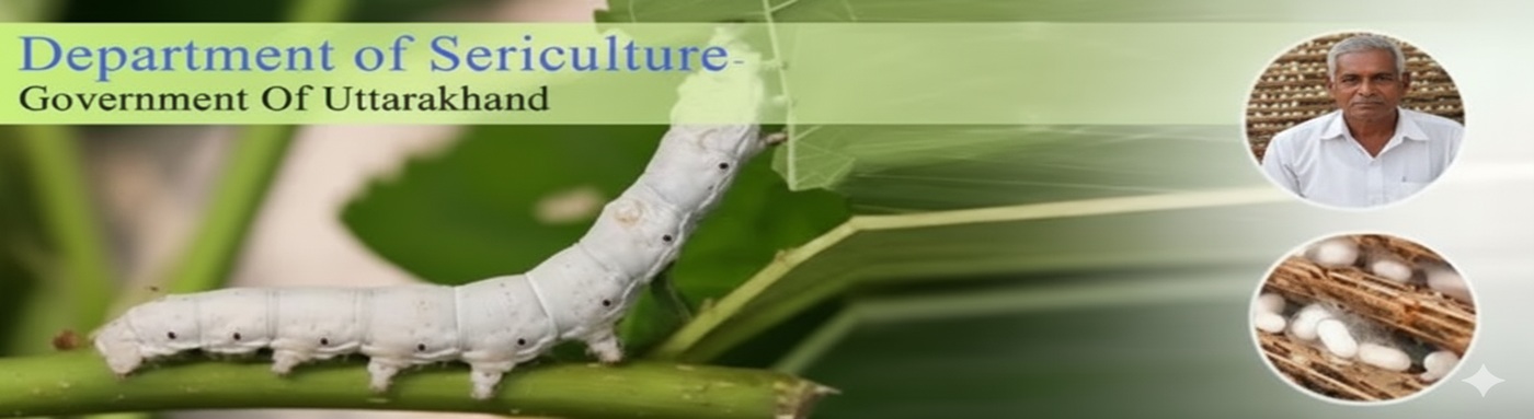 Sericulture