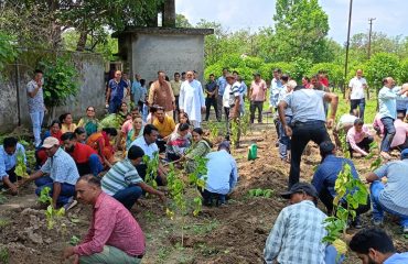 Mulbery Plantation Pgme during Harela 2024