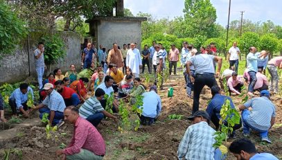Mulbery Plantation Pgme during Harela 2024