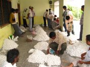 Cocoon Market