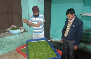 रेशम कीट पालन