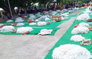 कोया बाज़ार