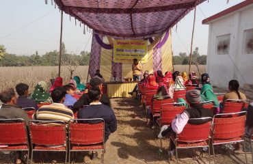 Training Program