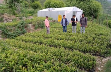 Manipuri Banj Nursery