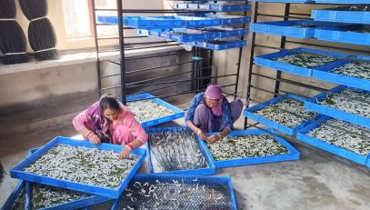 Silk Rearing
