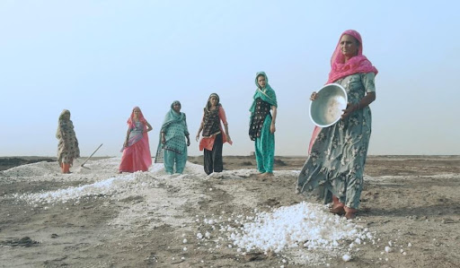 Salt farming in India