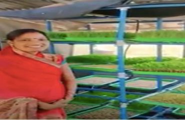 Women in Renewable Energy