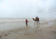 Jampore Beach camel ride;?>