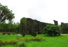 Dominican Monastery greenery